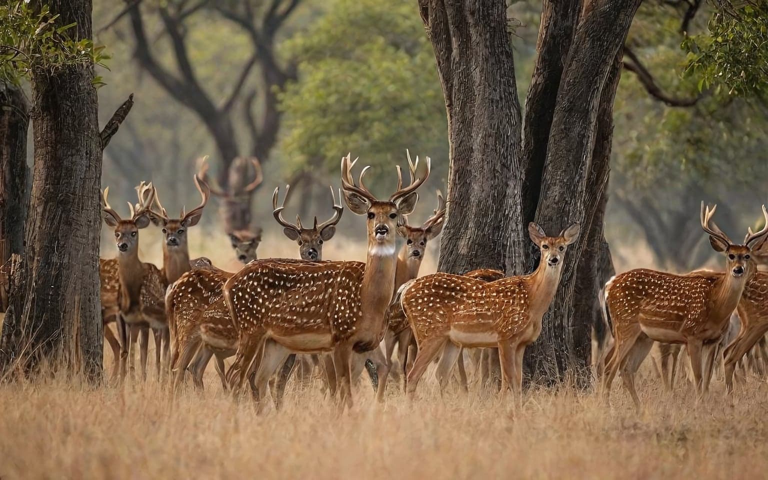 Representative AI illustration of Spotted deer