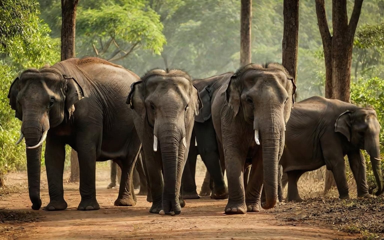 Representative AI illustration of Asian elephant