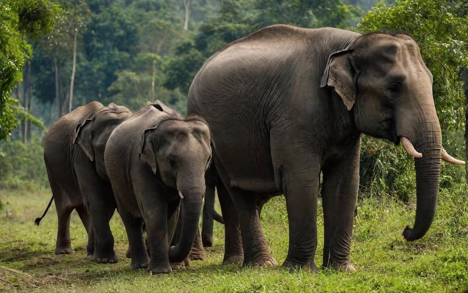 Representative AI illustration of Asian elephant