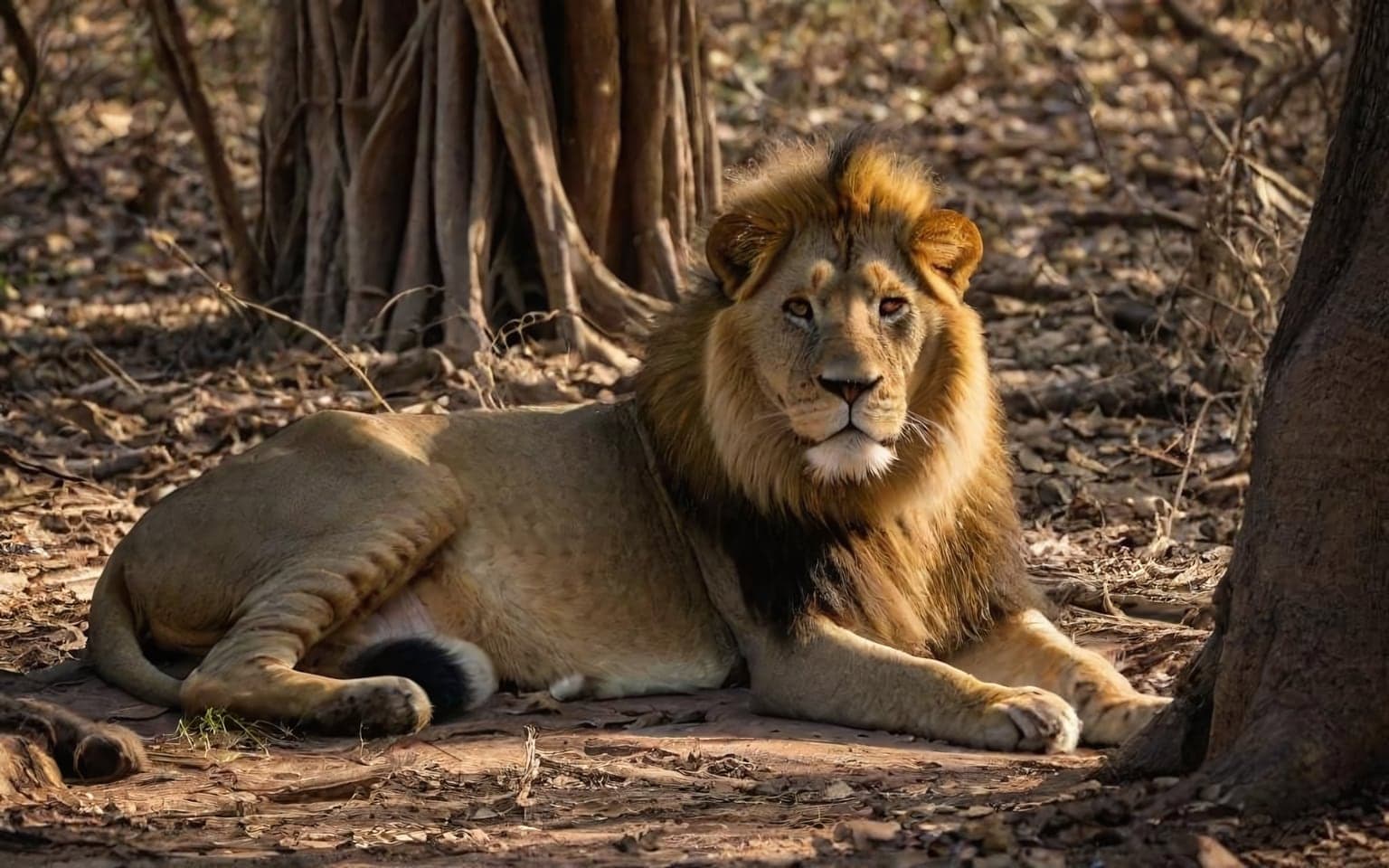 Representative AI illustration of Asiatic lion