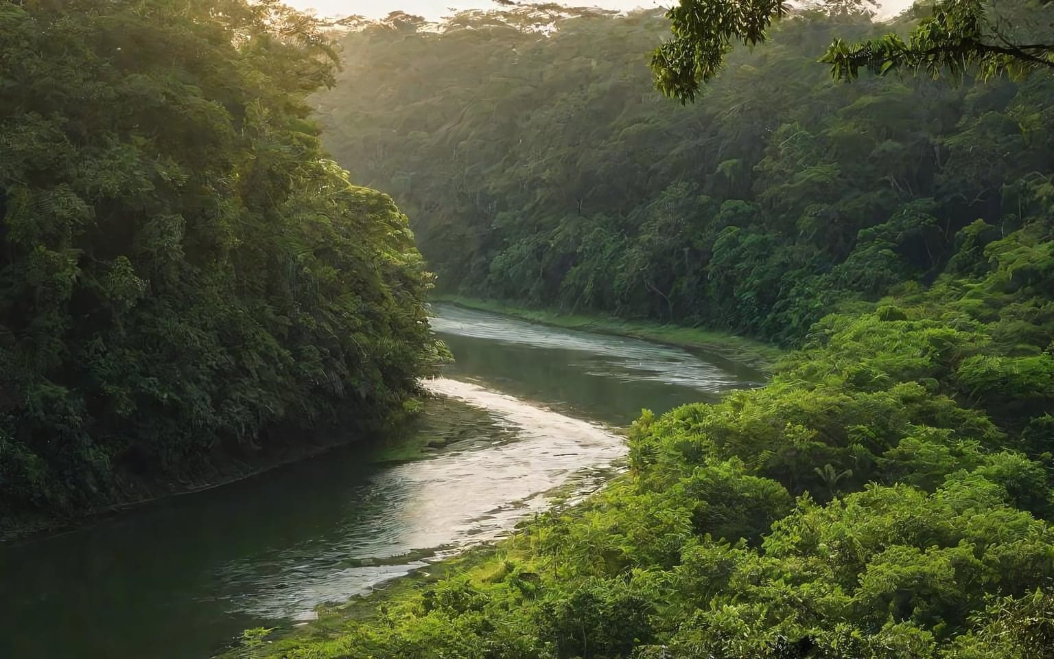 Representative AI illustration of Forest river