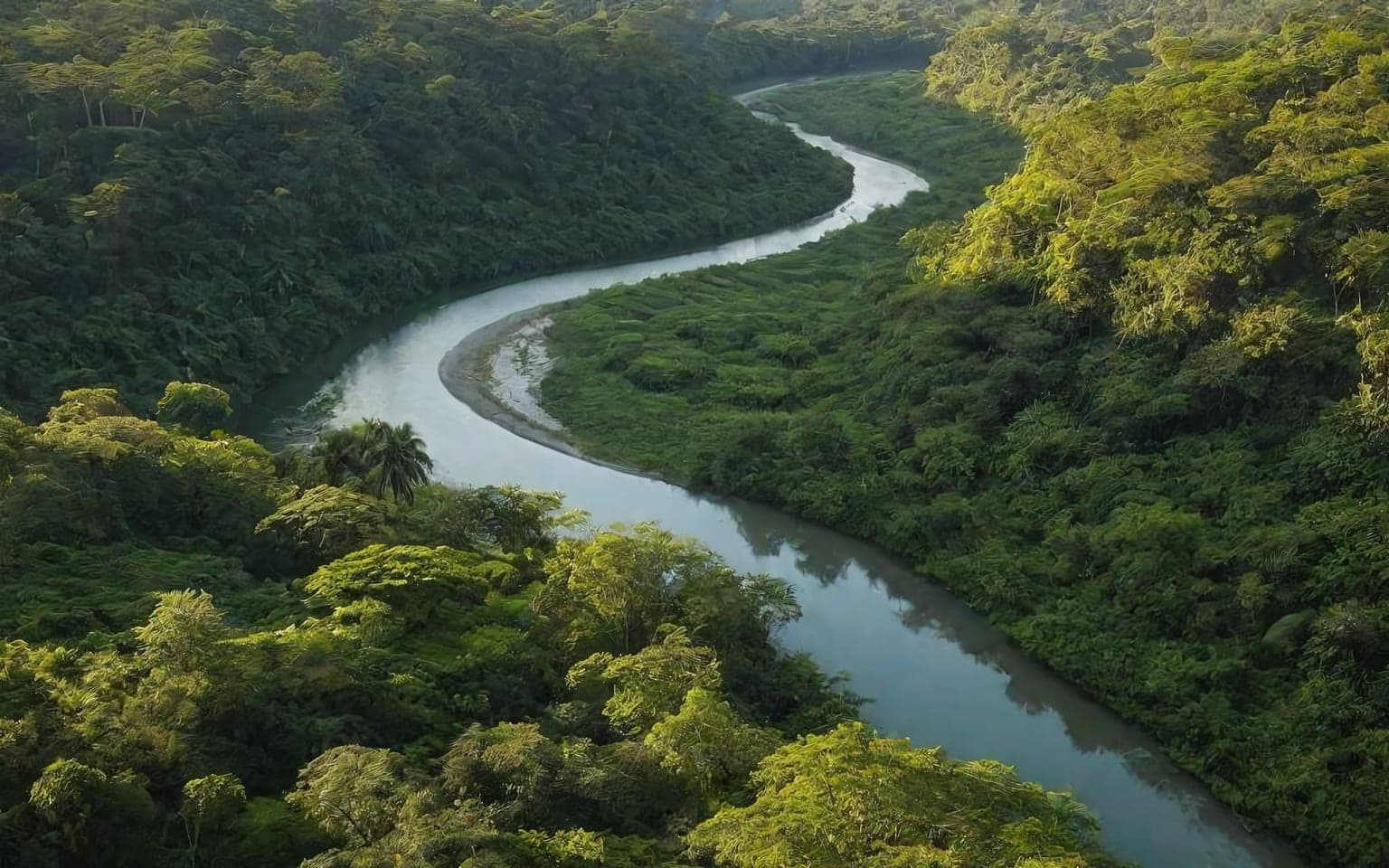 Representative AI illustration of Forest river