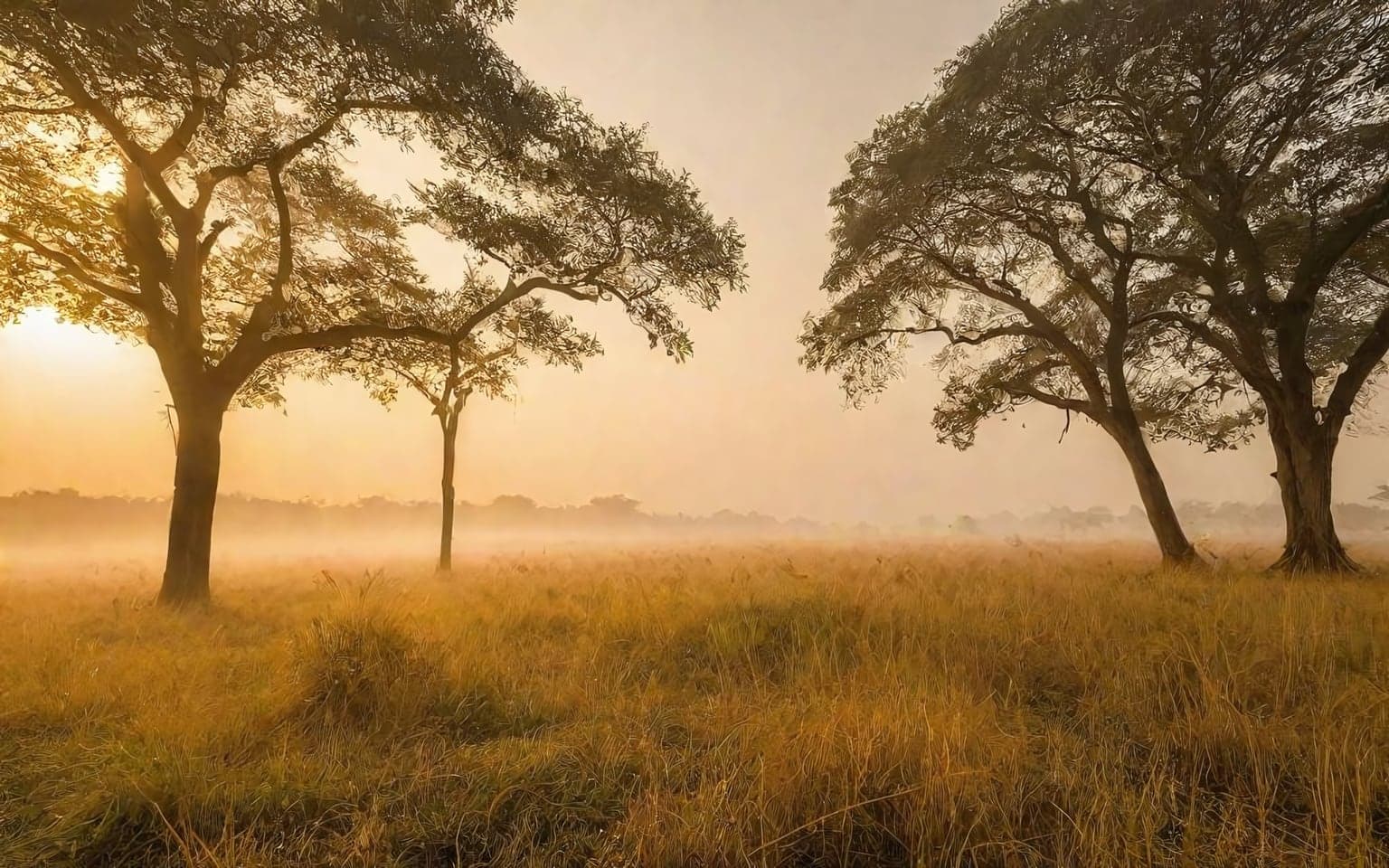 Representative AI illustration of Grassland