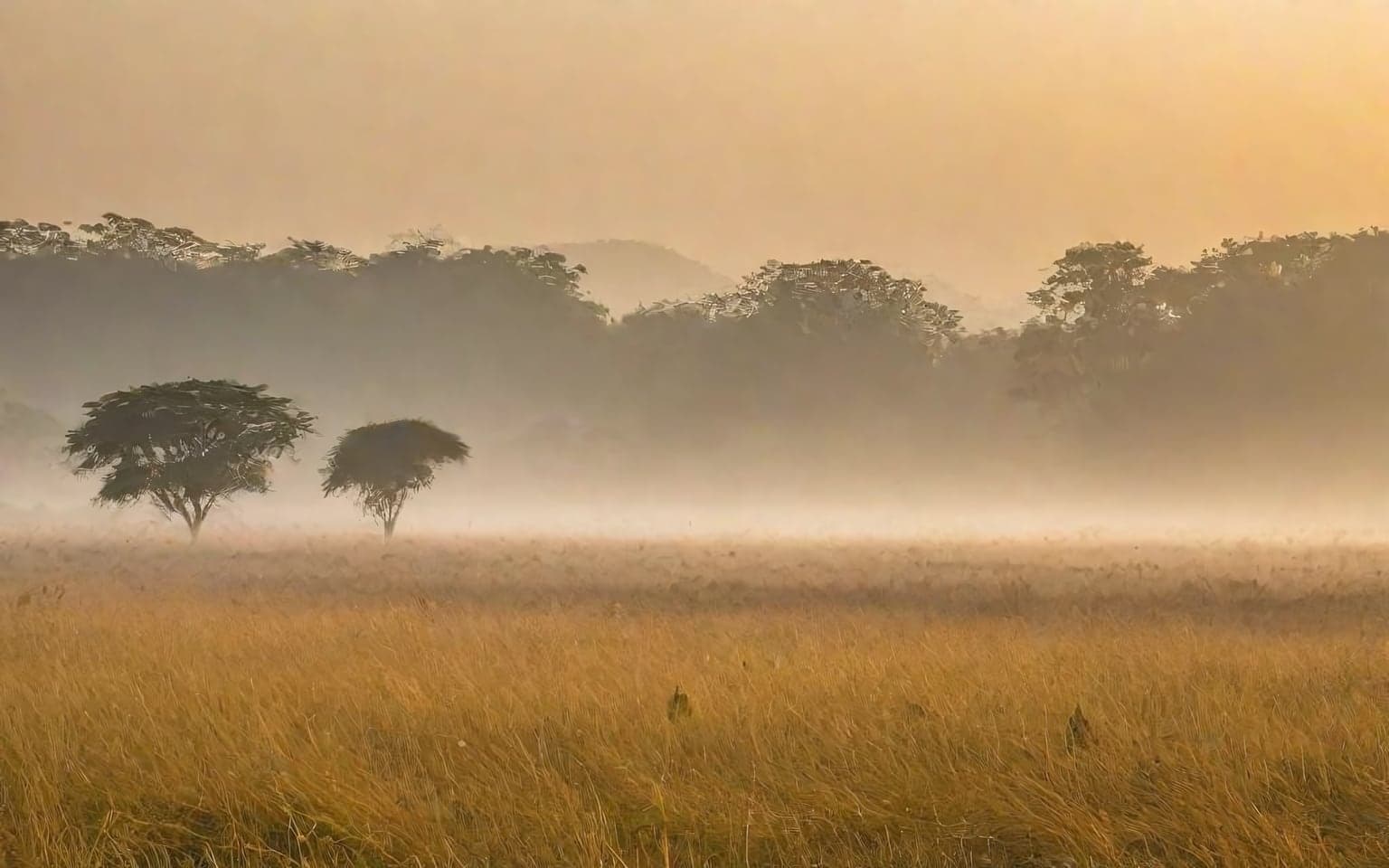 Representative AI illustration of Grassland