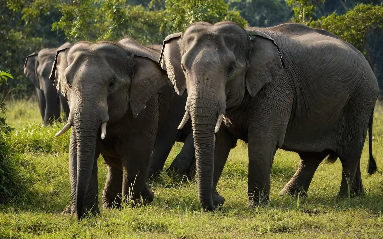 Representative AI illustration of Asian elephant