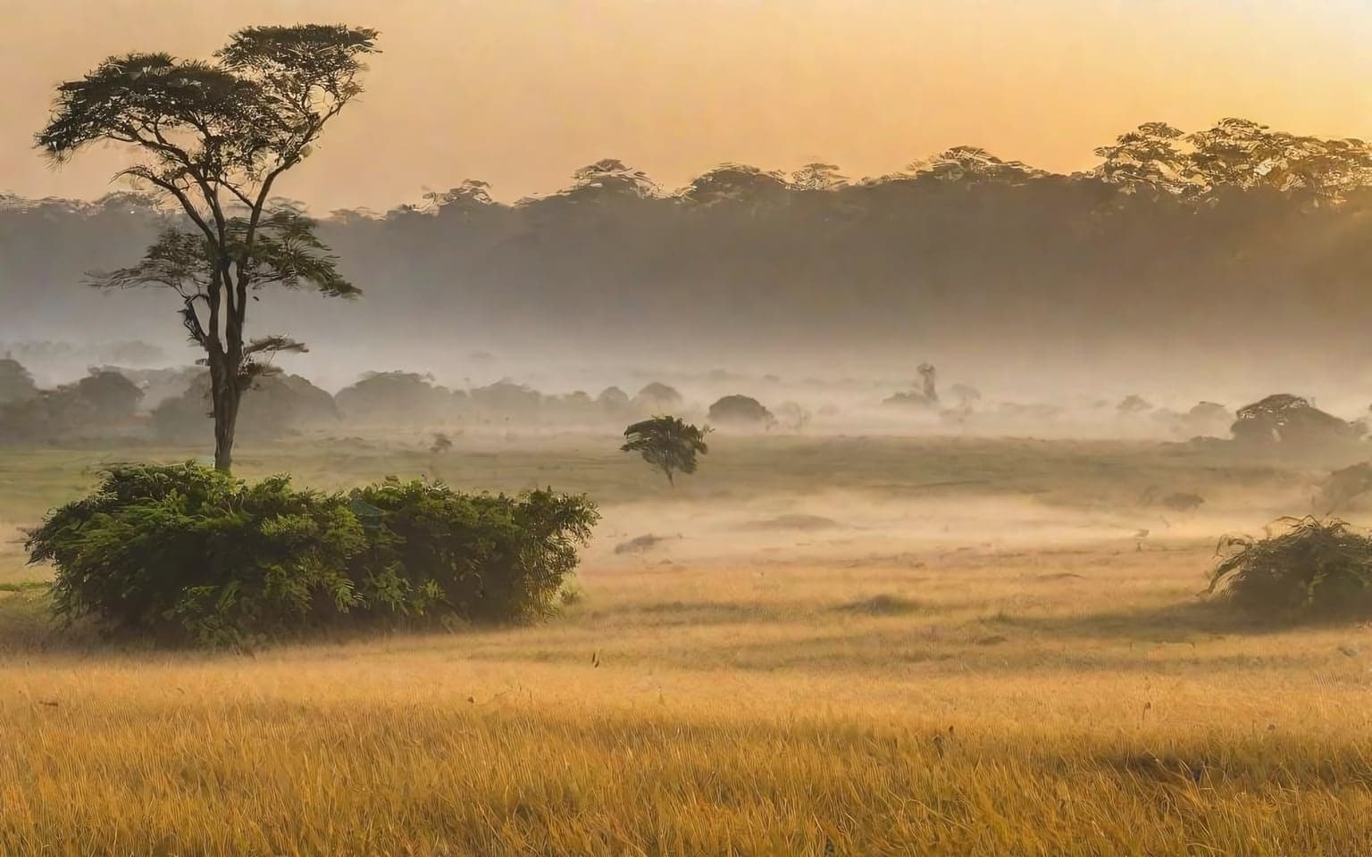 Representative AI illustration of Grassland