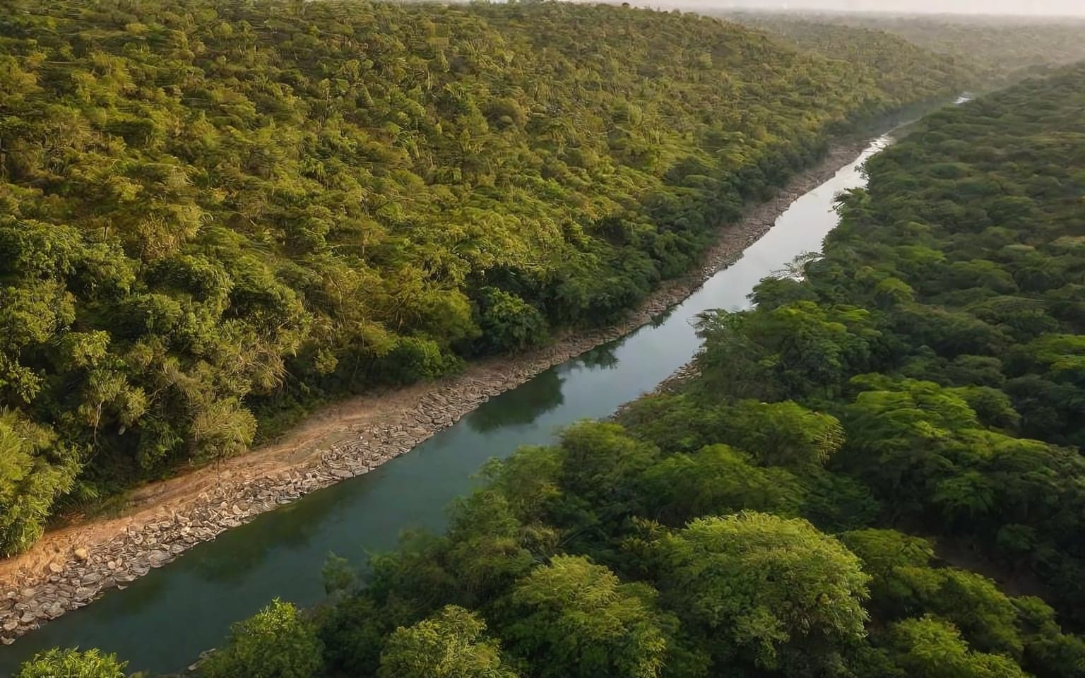 Representative AI illustration of Forest river
