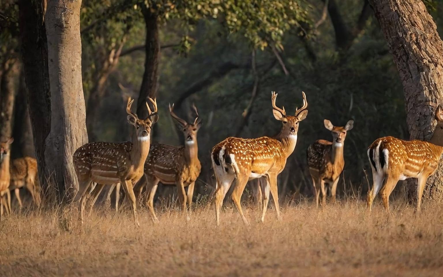 Representative AI illustration of Spotted deer