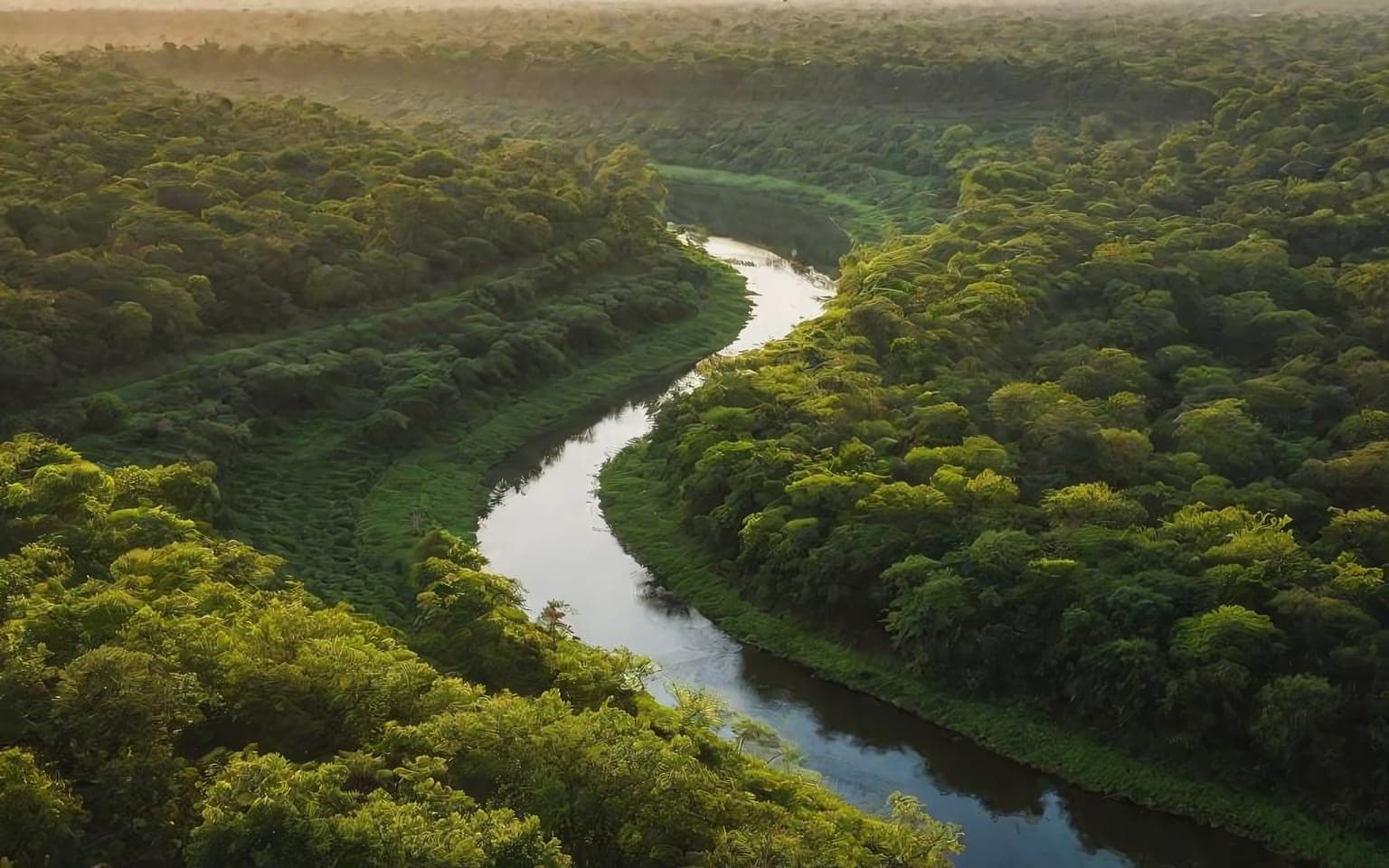Representative AI illustration of Forest river