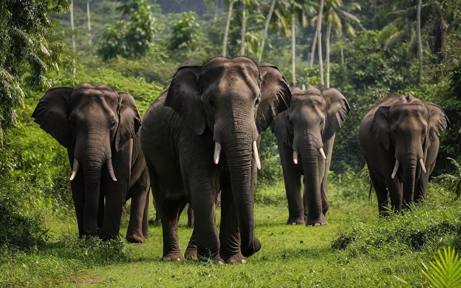 Representative AI illustration of Asian elephant