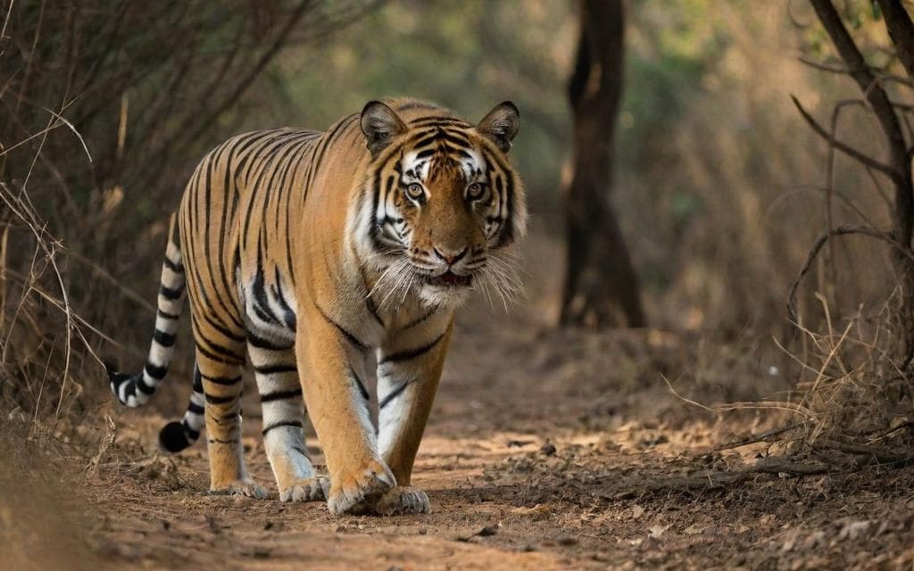 Representative AI illustration of Bengal tiger