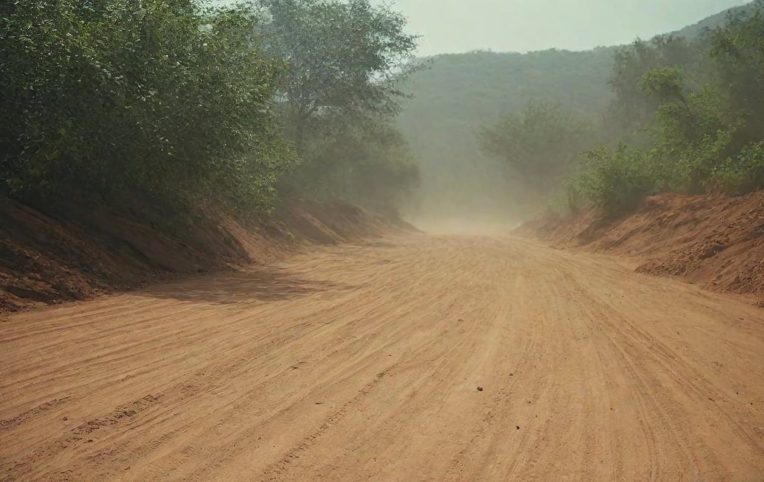 Rainforest Challenge (RFC) India