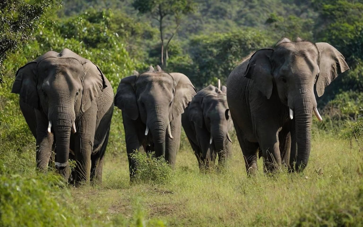 Representative AI illustration of Asian elephant