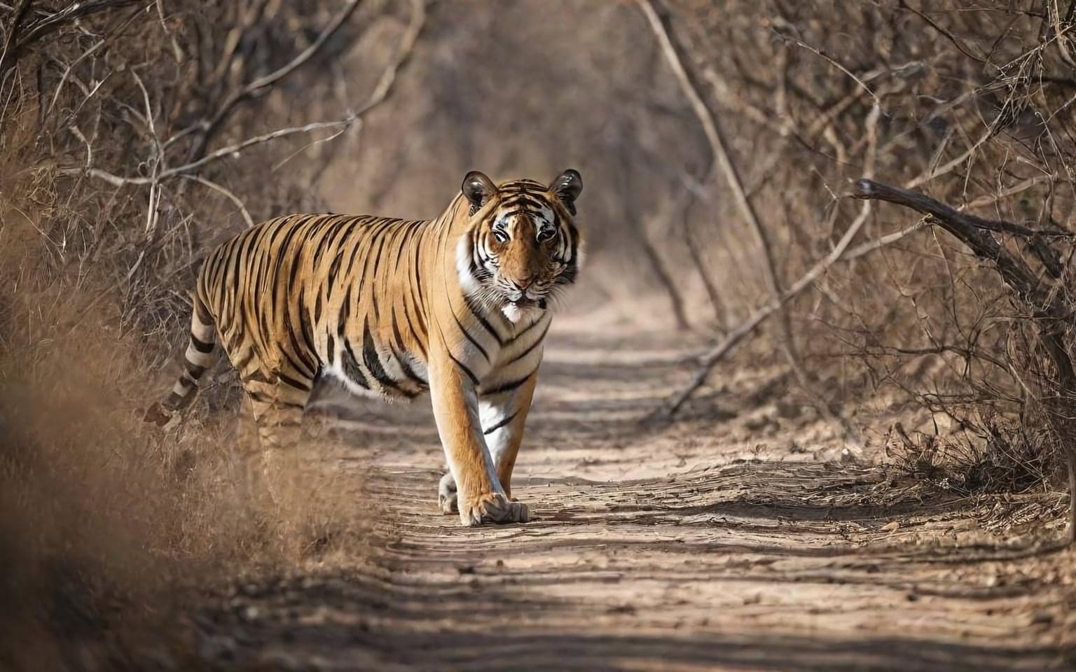 Representative AI illustration of Bengal tiger