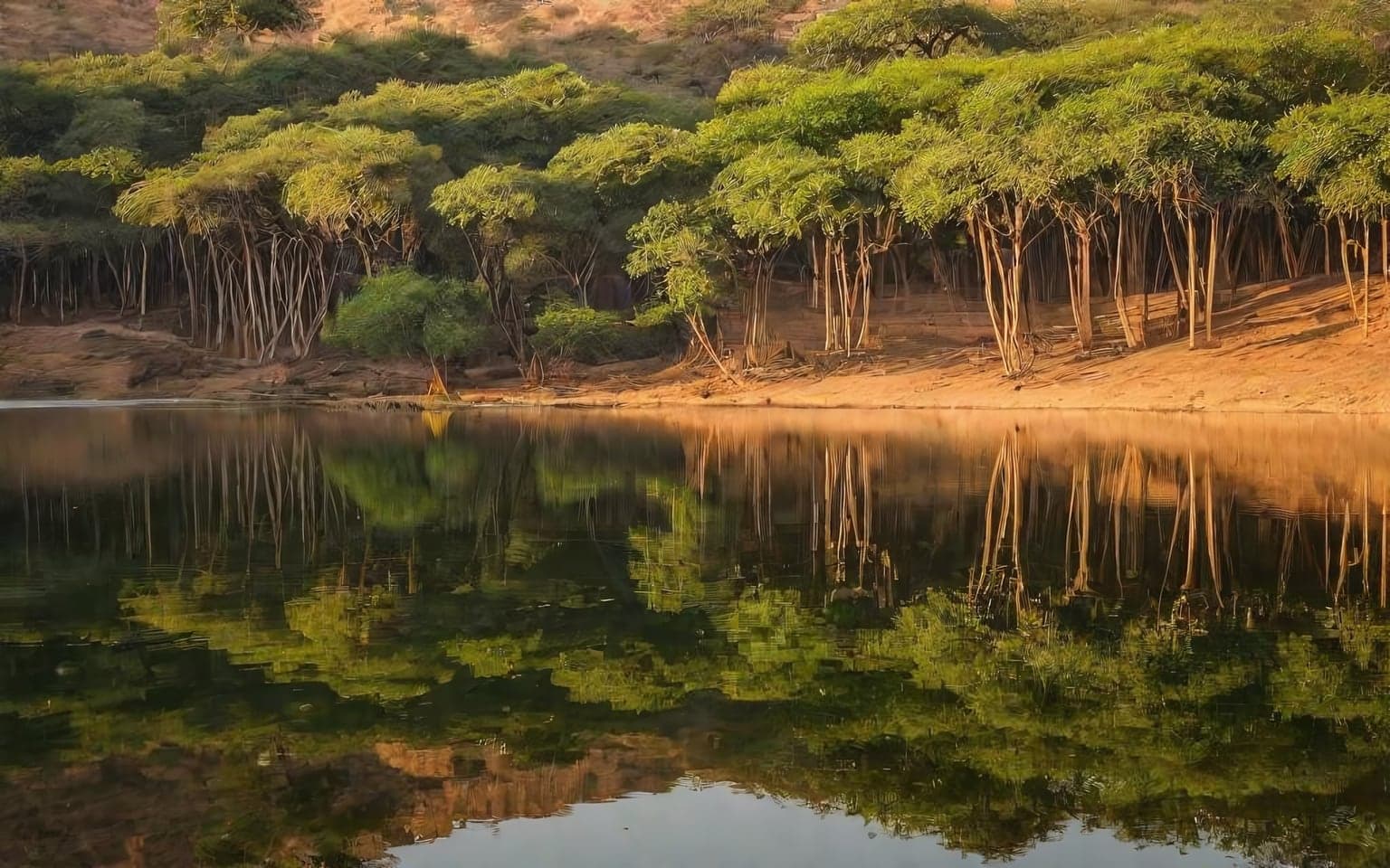 Representative AI illustration of Reserve lake