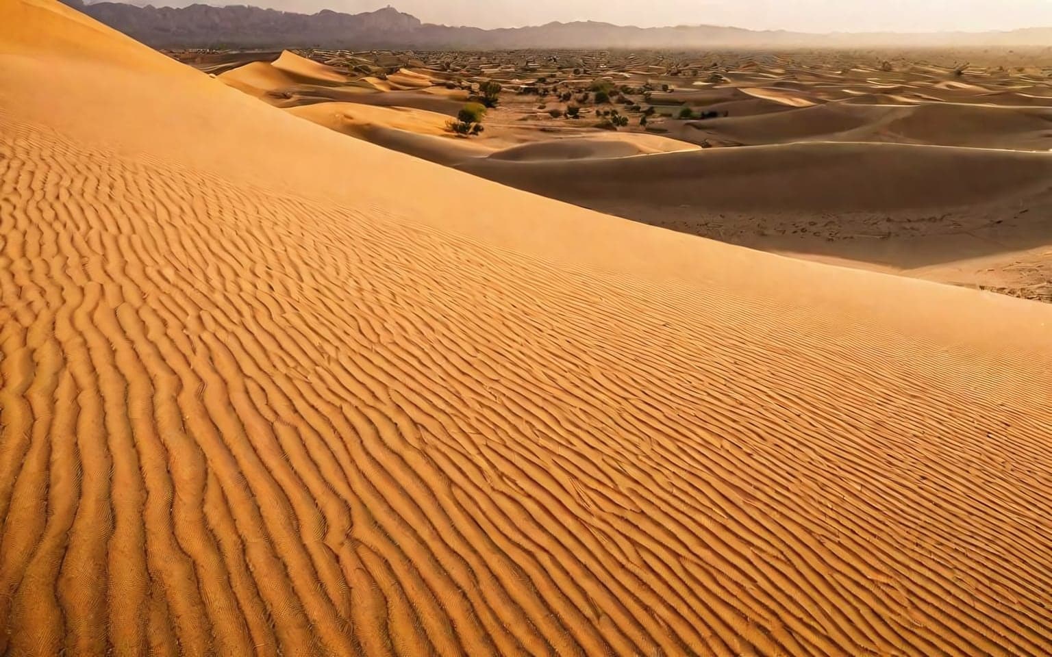 Representative AI illustration of Sand dunes