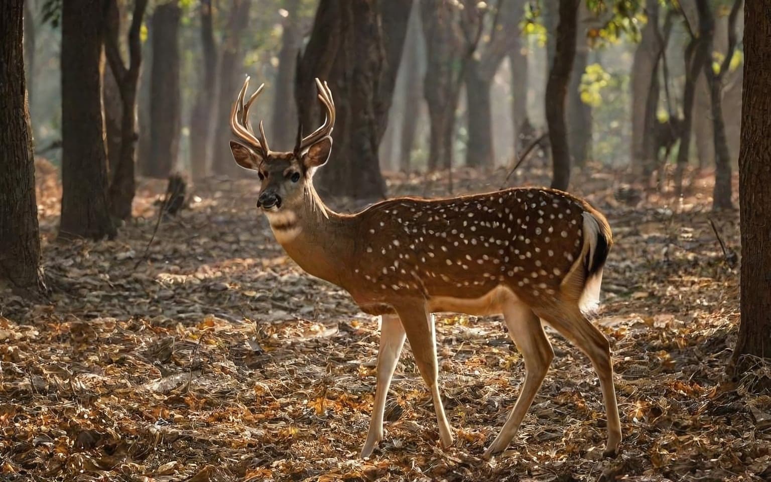 Representative AI illustration of Spotted deer