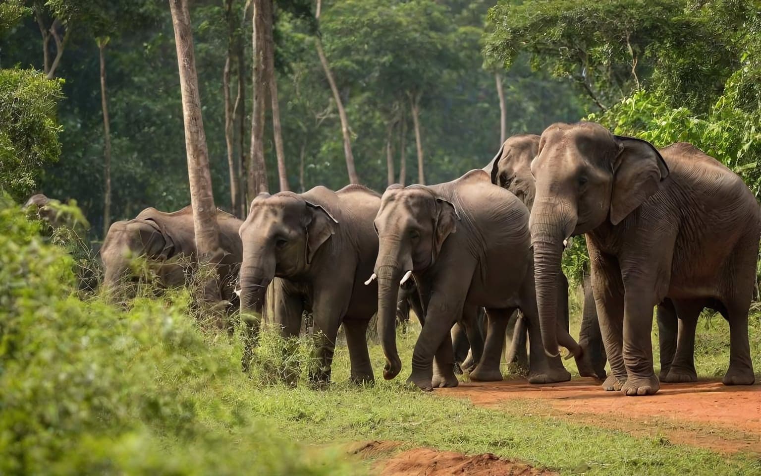 Representative AI illustration of Asian elephant