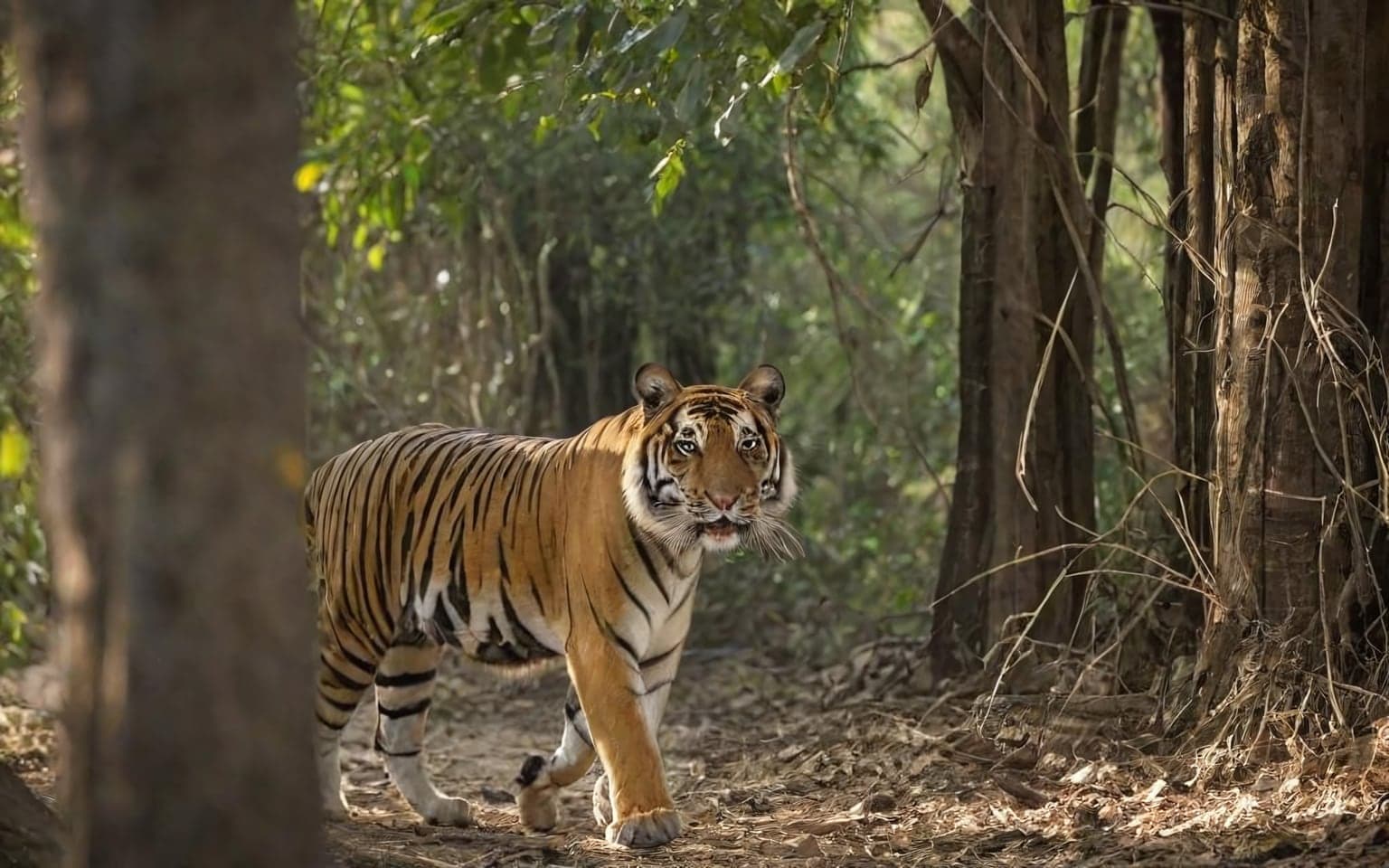 Representative AI illustration of Bengal tiger