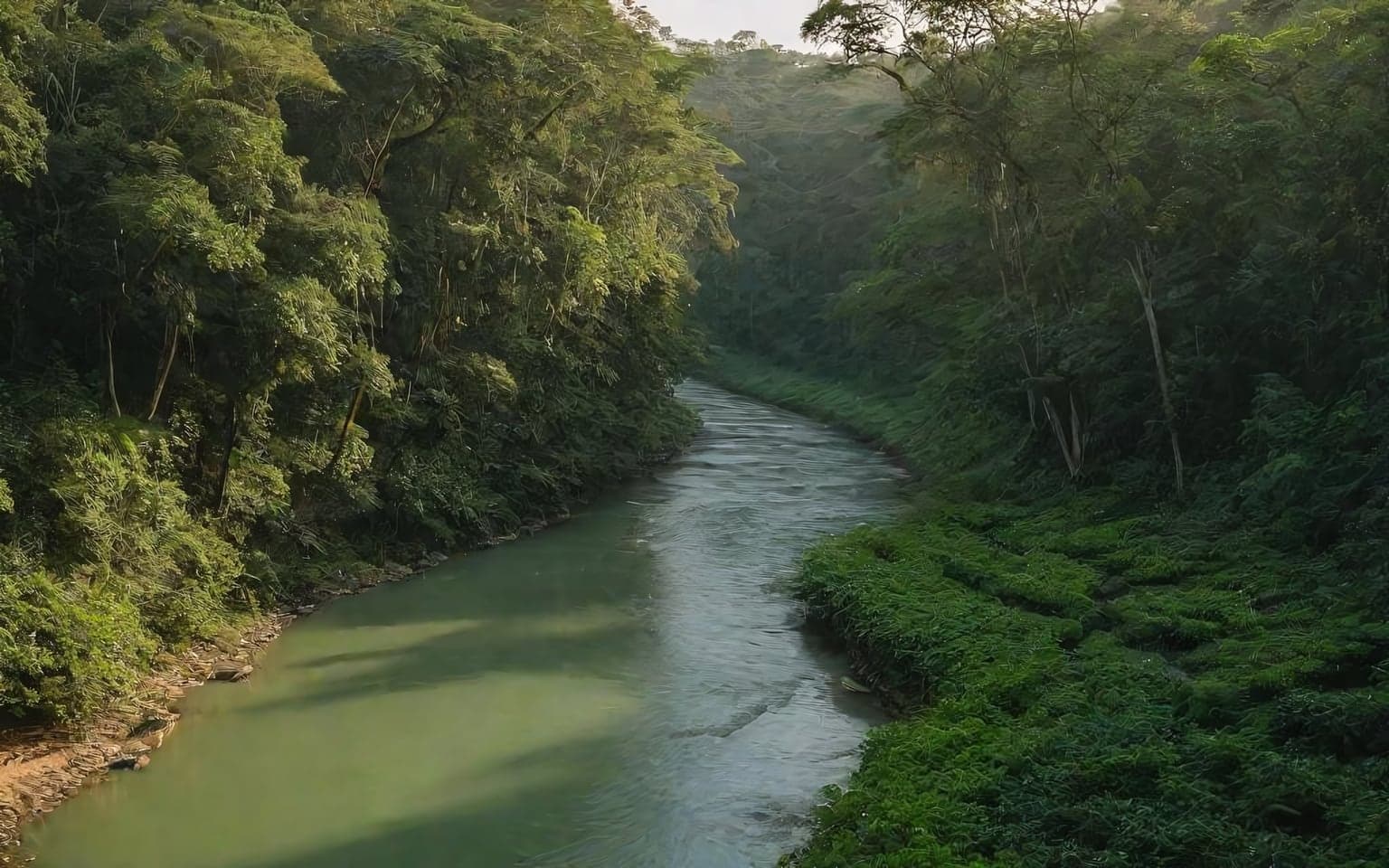 Representative AI illustration of Forest river