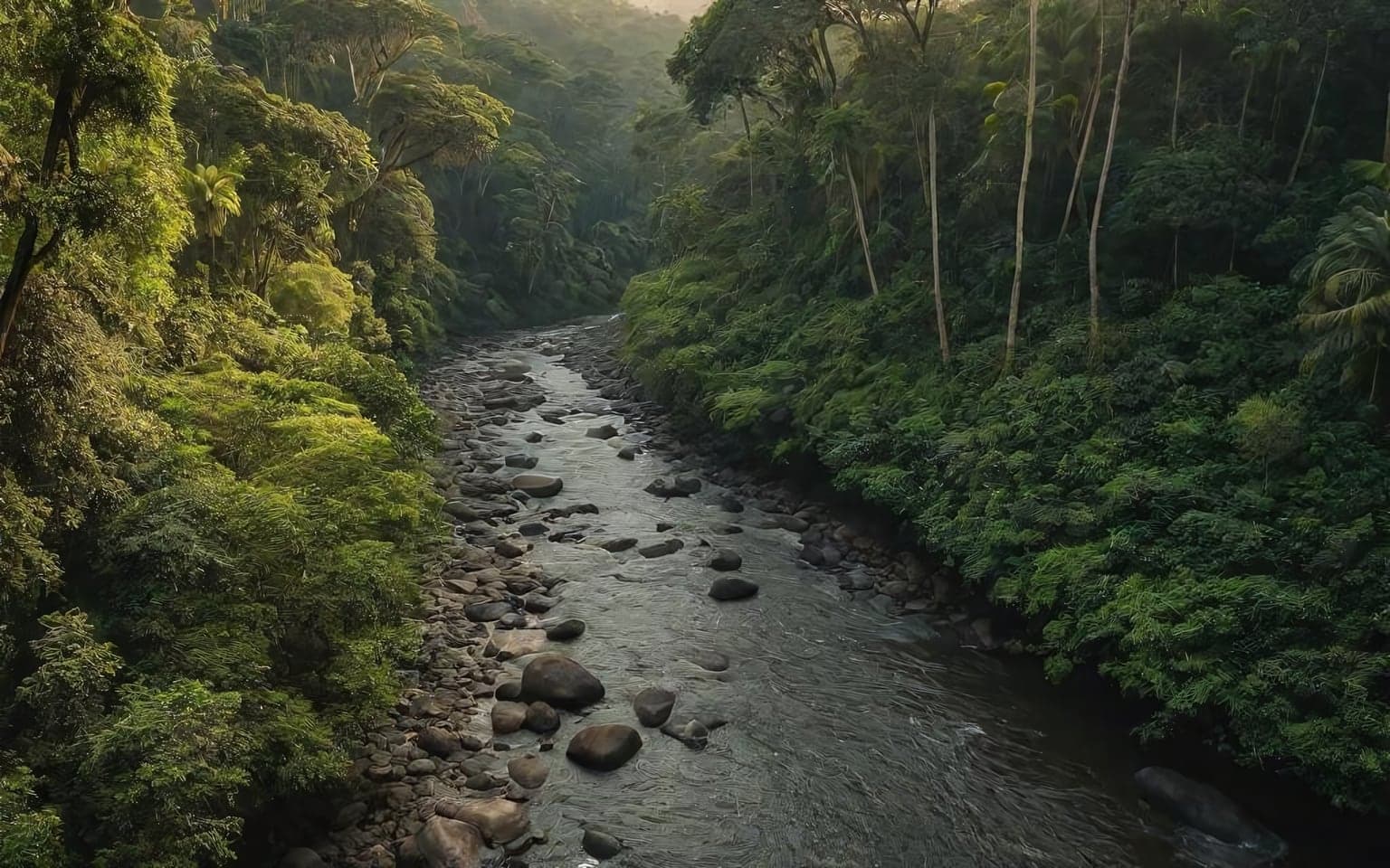 Representative AI illustration of Forest river