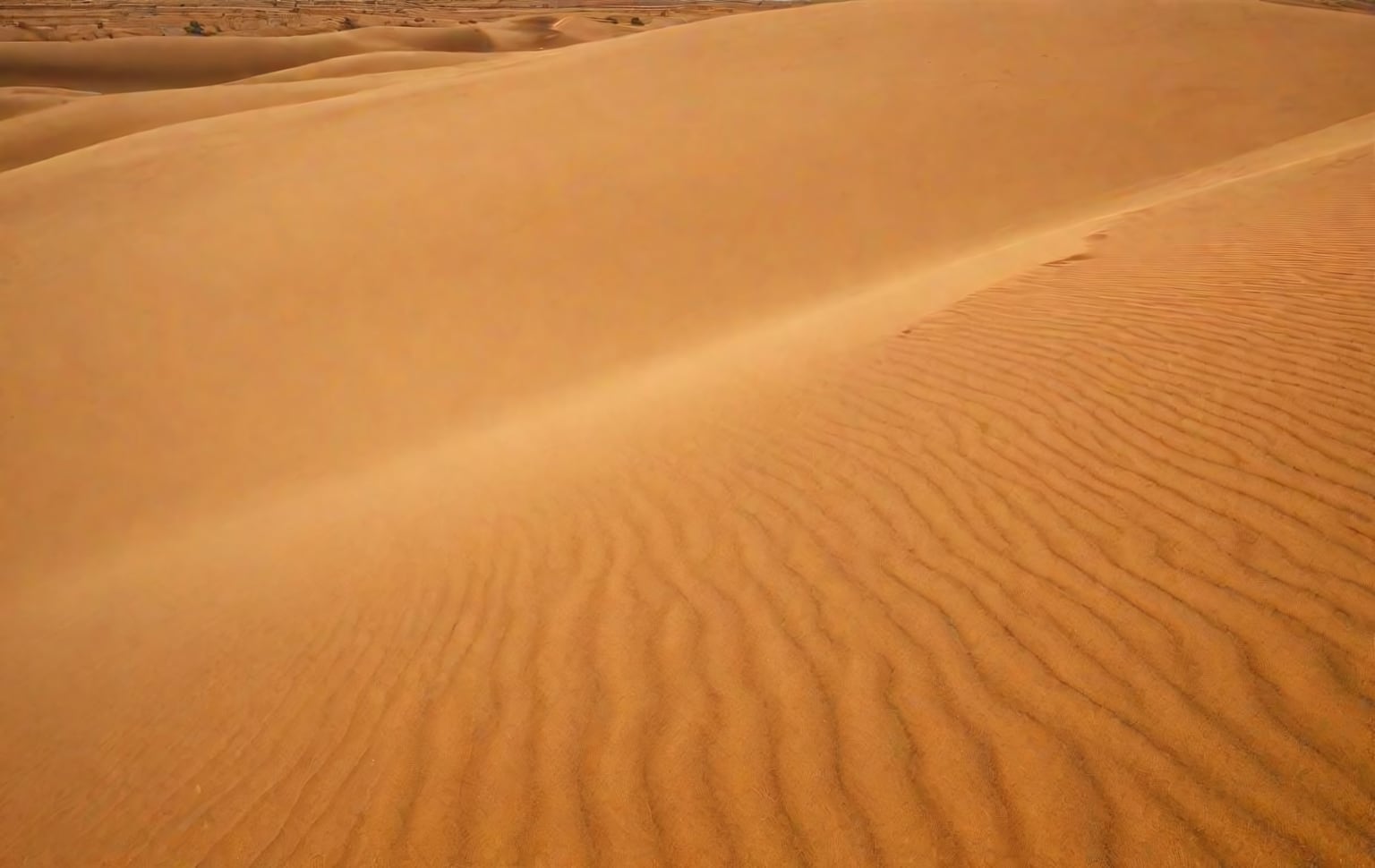 Maruti Suzuki Desert Storm Rally