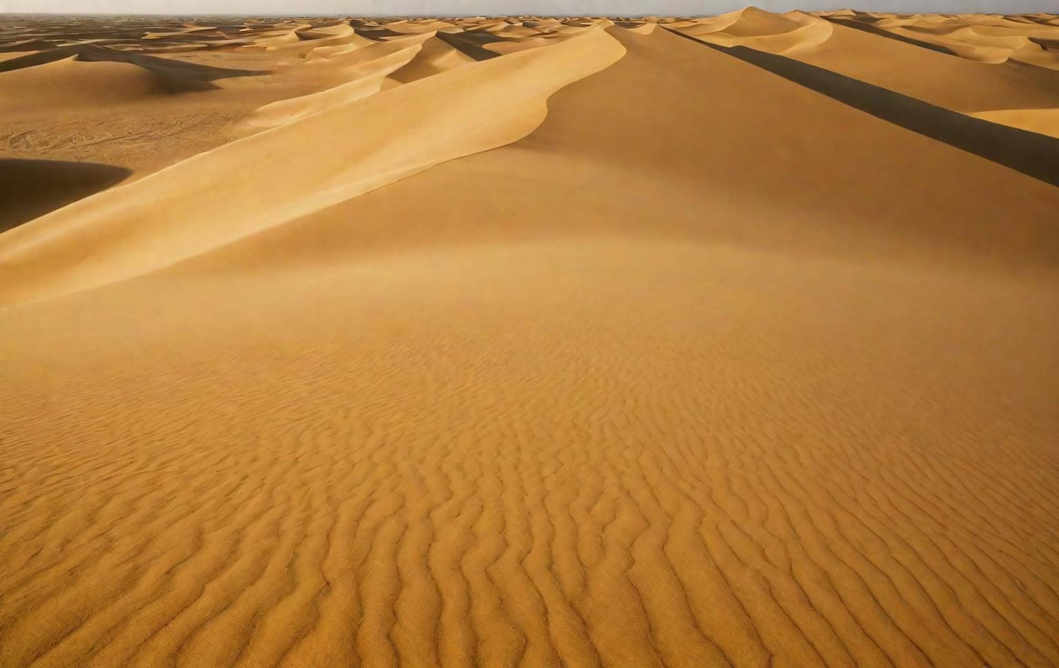 Rann Utsav (White Desert Festival), Kutch