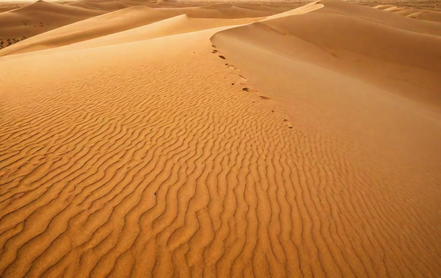 Ultimate Desert Challenge (UDC)