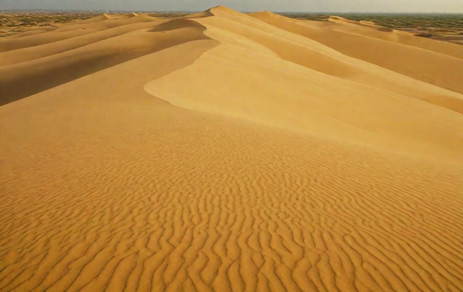 Wild Ass Sanctuary Desert Jeep Safari, Little Rann of Kutch